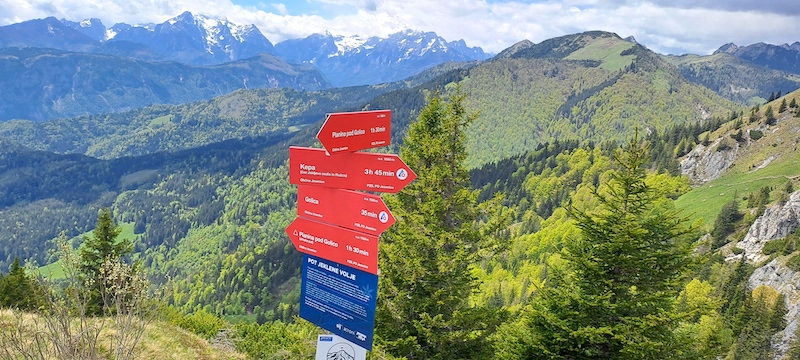 Tura med cvetjem, razgledi in umetnostjo